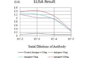 Black line: Control Antigen (100 ng),Purple line: Antigen (10 ng), Blue line: Antigen (50 ng), Red line:Antigen (100 ng) (WDFY3 antibody  (AA 3277-3526))