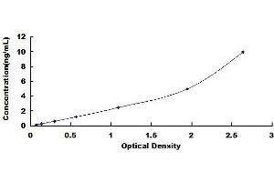 CD48 (CD48) ELISA Kit