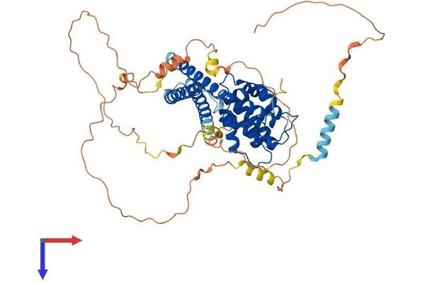 TOM1L2 Protein (AA 1-507) (His tag)