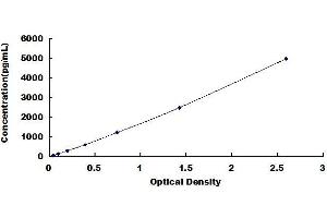 Typical standard curve (Growth Hormone 2 ELISA Kit)