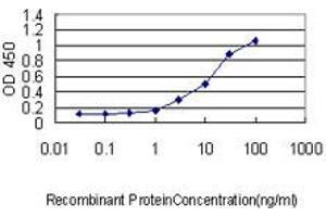 Detection limit for recombinant GST tagged GKN1 is approximately 0. (Gastrokine 1 antibody  (AA 21-185))