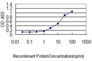 Detection limit for recombinant GST tagged GKN1 is approximately 0. (Gastrokine 1 antibody  (AA 21-185))