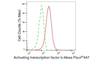 Flow cytometric analysis of Activating transcription factor 5 expression in HepG2 cells using Activating transcription factor 5 antibody (ABIN7797485), 1:2,000). (Recombinant ATF5 antibody)