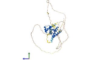 AlphaFold protein structure predicition of Mouse Recombinant Pou4f2 Protein, UniprotID Q63934