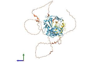 Protein Structure (PS) image for PR Domain Containing 14 (PRDM14) (AA 1-571) protein (His tag) (ABIN7555070)