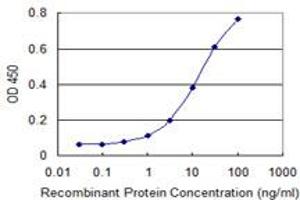 Detection limit for recombinant GST tagged RNF175 is 0. (RNF175 antibody  (AA 211-301))