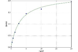 Insulin-Like Growth Factor 1 Receptor (IGF1R) ELISA Kit