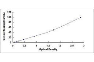 Growth Hormone Receptor (GHR) ELISA Kit