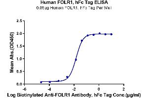 ELISA image for Folate Receptor 1 (Adult) (FOLR1) (AA 25-233) protein (Fc Tag) (ABIN7274666)