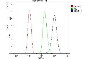 Flow Cytometry analysis of HEPA1-6 cells using anti-AKAP12 antibody (ABIN7601563). (AKAP12 antibody  (AA 387-1620))