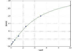 A typical standard curve