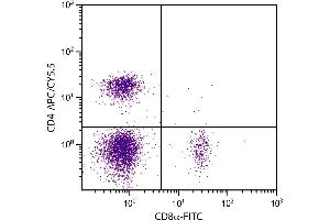 BALB/c mouse splenocytes were stained with Rat Anti-Mouse CD4-APC/CY5. (CD4 antibody  (APC-Cy5.5))