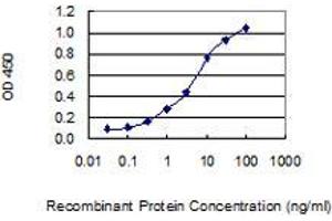 Detection limit for recombinant GST tagged PCDHA11 is 0. (PCDHA11 antibody  (AA 203-291))