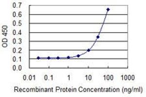 Detection limit for recombinant GST tagged MRE11A is 3 ng/ml as a capture antibody. (Mre11 antibody  (AA 1-206))