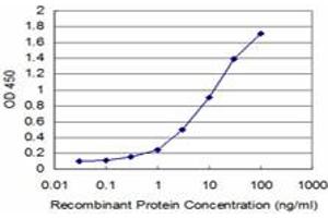 Detection limit for recombinant GST tagged HCLS1 is approximately 0. (HCLS1 antibody  (AA 266-355))