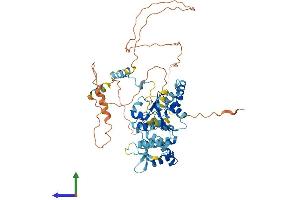 AlphaFold protein structure predicition of Human Recombinant ORC2 Protein, UniprotID Q13416