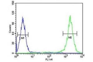 TFAM antibody flow cytometric analysis of K562 cells (right histogram) compared to a negative control (left histogram). (TFAM antibody  (AA 216-246))