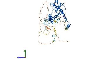 AlphaFold protein structure predicition of Mouse Recombinant Dmap1 Protein, UniprotID Q9JI44
