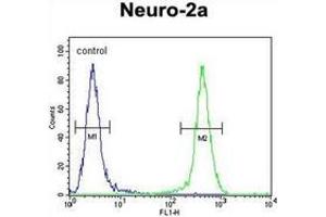 Flow cytometric analysis of Neuro-2a cells using Josephin-2 Antibody (N-term) Cat.