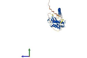 AlphaFold protein structure predicition of Human Recombinant RAB3IL1 Protein, UniprotID Q8TBN0 (RAB3IL1 Protein (AA 1-382) (His tag))