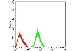 Flow cytometric analysis of SK-N-SH cells using CHRNA3 mouse mAb (green) and negative control (red). (CHRNA3 antibody  (AA 32-240))