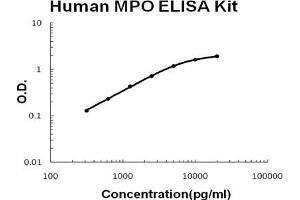 Human MPO PicoKine ELISA Kit standard curve