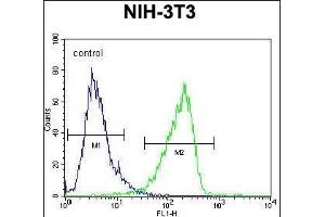Calponin-3 Antibody (Center) (ABIN390504 and ABIN2840860) flow cytometric analysis of NIH-3T3 cells (right histogram) compared to a negative control cell (left histogram).