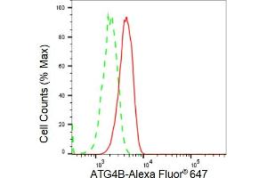 Flow cytometric analysis of ATG4B expression in C2C12 cells using ATG4B antibody (ABIN7797710), 1:2,000).