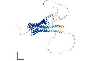 AlphaFold protein structure predicition of Mouse Recombinant Chrm5 Protein, UniprotID Q920H4