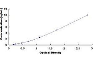 Typical standard curve (SNX17 ELISA Kit)