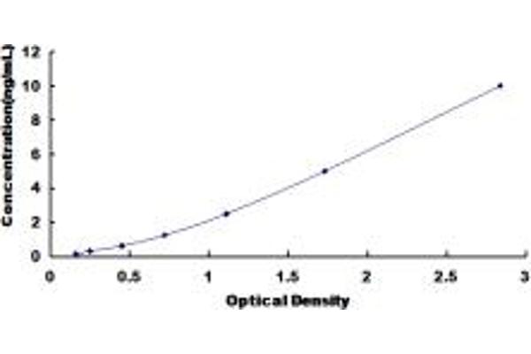 SNX17 ELISA Kit