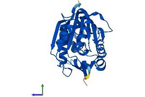 AlphaFold protein structure predicition of Human Recombinant INMT Protein, UniprotID O95050 (INMT Protein (AA 1-263) (His tag))