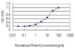 Detection limit for recombinant GST tagged ZNF313 is approximately 0.