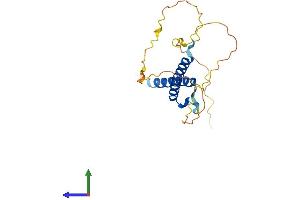 AlphaFold protein structure predicition of Human Recombinant MSGN1 Protein, UniprotID A6NI15 (Mesogenin 1 Protein (MSGN1) (AA 1-193) (His tag))