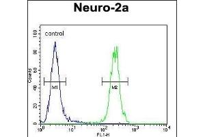 F1 Antibody (Center) (ABIN654163 and ABIN2844027) flow cytometric analysis of Neuro-2a cells (right histogram) compared to a negative control cell (left histogram). (MAF1 antibody  (AA 90-117))