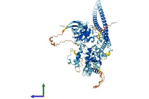 AlphaFold protein structure predicition of Mouse Recombinant Pik3r2 Protein, UniprotID O08908 (PIK3R2 Protein (AA 1-722) (His tag))