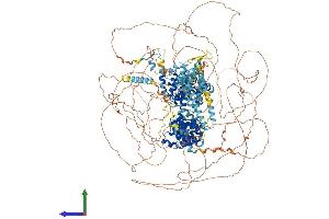 Protein Structure (PS) image for Eukaryotic Translation Initiation Factor 4 Gamma, 1 (EIF4G1) (AA 1-1599) protein (His tag) (ABIN7554181)