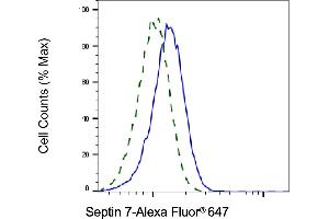 Validation of Septin 7 knockdown using flow cytometry. (Recombinant Septin 7 antibody)