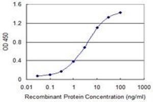 Detection limit for recombinant GST tagged HOXA9 is 0. (HOXA9 antibody  (AA 1-272))