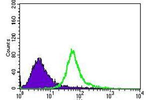 Flow cytometric analysis of HeLa cells using TRAFD1 mouse mAb (green) and negative control (purple).