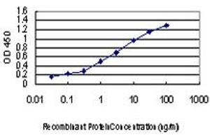 ELISA image for anti-Mitogen-Activated Protein Kinase-Activated Protein Kinase 3 (MAPKAPK3) (AA 272-382) antibody (ABIN563495)