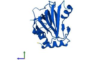 AlphaFold protein structure predicition of Human Recombinant ADI1 Protein, UniprotID Q9BV57 (ADI1 Protein (AA 1-179) (His tag))