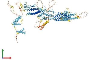 AlphaFold protein structure predicition of Human Recombinant TUBGCP5 Protein, UniprotID Q96RT8