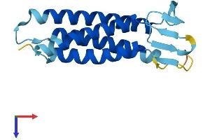 AlphaFold protein structure predicition of Mouse Recombinant Emp1 Protein, UniprotID P47801 (EMP1 Protein (AA 1-160) (His tag))