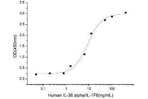Activity Assay (AcA) image for Interleukin 1 Family, Member 6 (IL1F6) (AA 1-158) (Active) protein (His tag) (ABIN7607761)