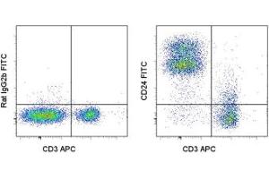 Image no. 1 for anti-CD24 Molecule (CD24) antibody (FITC) (ABIN474789) (CD24 antibody  (FITC))