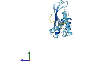 AlphaFold protein structure predicition of Human Recombinant CEP19 Protein, UniprotID Q96LK0 (C3orf34 Protein (AA 1-163) (His tag))