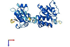 Dual Specificity Phosphatase 2 (DUSP2) (AA 1-318) protein (His tag)