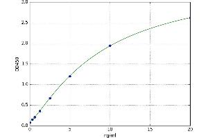 A typical standard curve