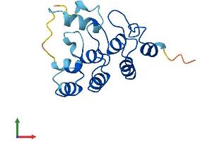 Protein Structure (PS) image for Protein Phosphatase 1, Regulatory Subunit 27 (PPP1R27) (AA 1-154) protein (His tag) (ABIN7550915)